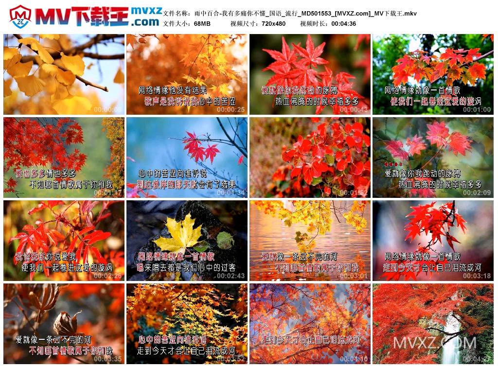 雨中百合-我有多痛你不懂_国语_流行_MD501553